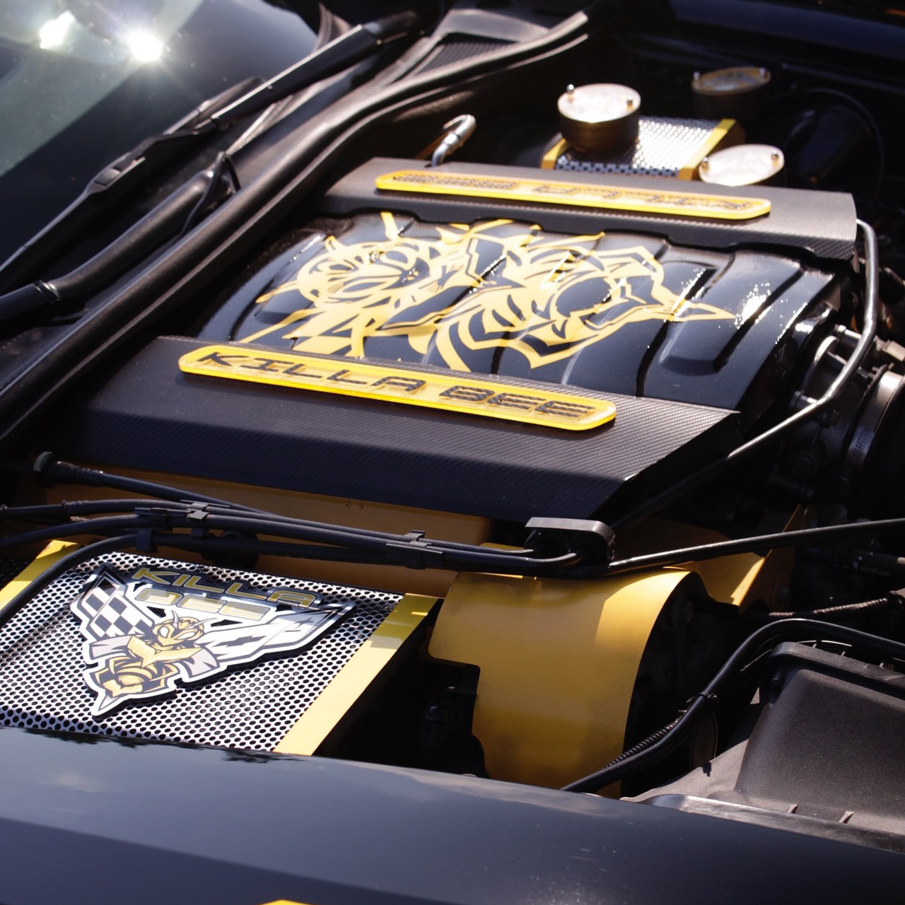 2025 Photo Killa Bee.jpg